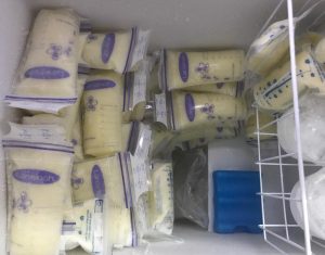 Tủ đông mini 100 lít được sử dụng để trữ đông sữa